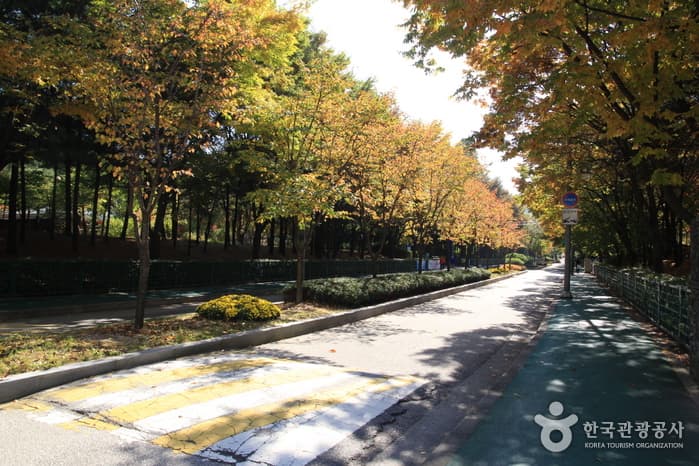A Visitor's Guide to Bonghwasan Mountain - Seoul (봉화산 (서울))