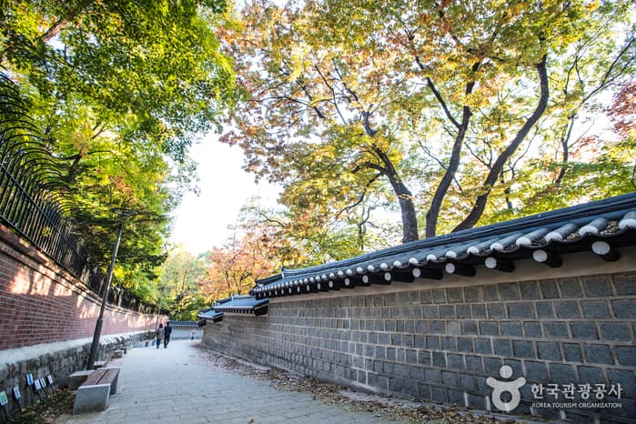 A Visitor's Guide to Deoksugung Stone Wall Path (덕수궁 돌담길)
