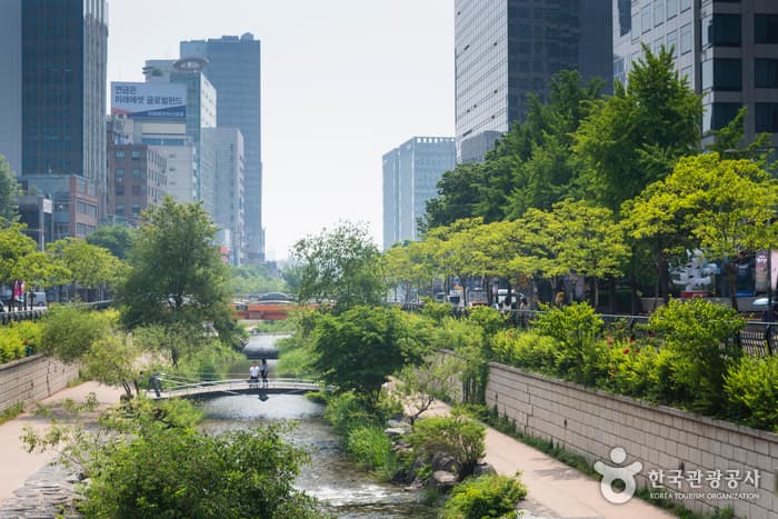 A Visitor's Guide to Cheonggyecheon Stream (청계천)