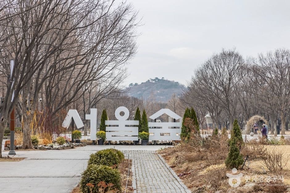 A Visitor's Guide to Seoul Forest (서울숲)